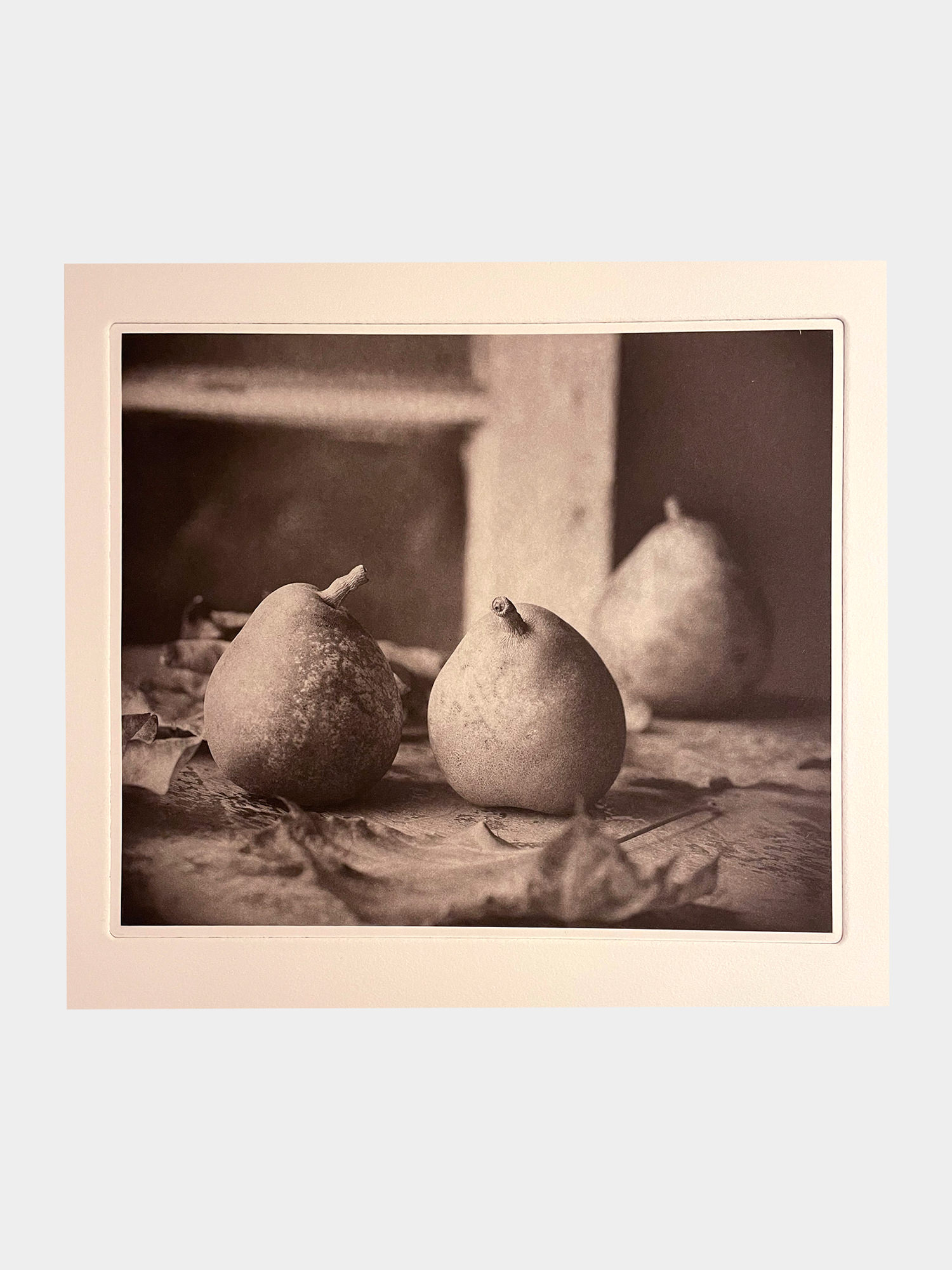 Ray Bidegain, Still Life With Pears, Don Dexter Gallery